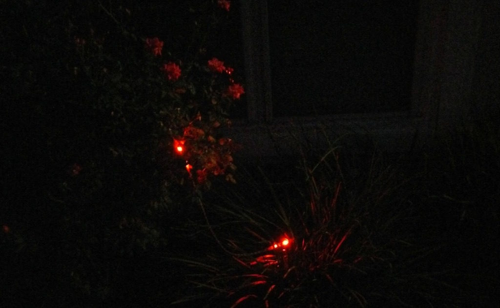 Outside Halloween Creepy Eyes using Adafruit Arduino FastLED WS2812B Led Strip